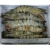 越南特大海虎蝦 (10吋長)